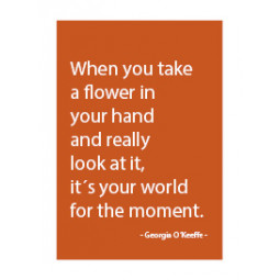 Magnet/When you take a flower